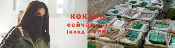 спиды Майский