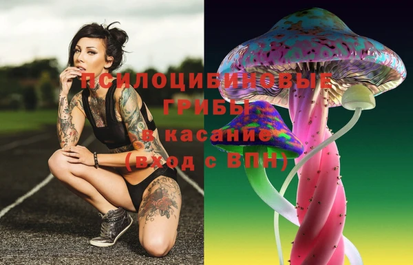хмурый Магадан