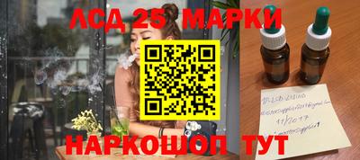 индика Можайск