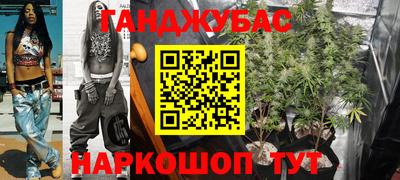 индика Моздок