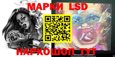 индика Моздок