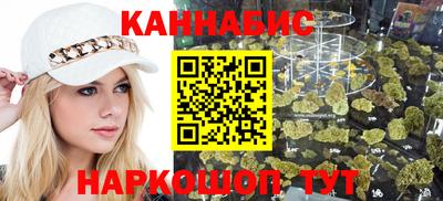 индика Можайск