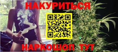 индика Можайск