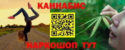 индика Моздок