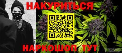 индика Моздок