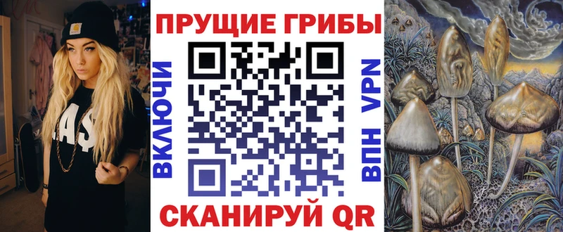 MEGA ссылки Электросталь Псилоцибиновые грибы Cubensis купить наркотик