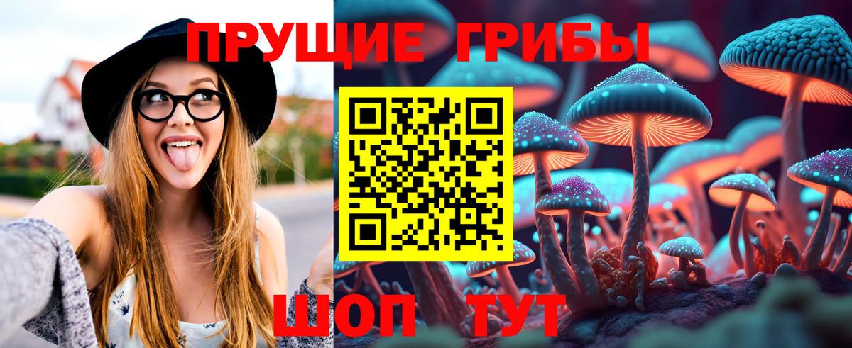 Галлюциногенные грибы прущие грибы Электросталь