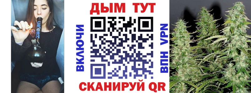 Каннабис ГИДРОПОН  Электросталь 